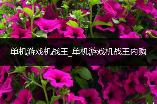 单机游戏机战王_单机游戏机战王内购