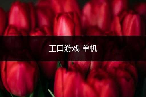 工口游戏 单机