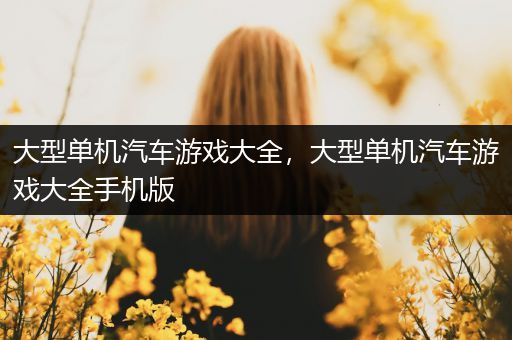 大型单机汽车游戏大全，大型单机汽车游戏大全手机版