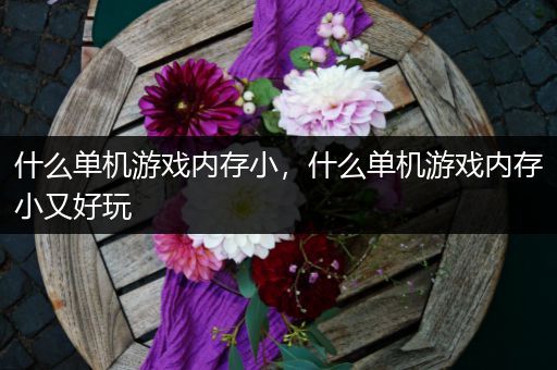 什么单机游戏内存小，什么单机游戏内存小又好玩