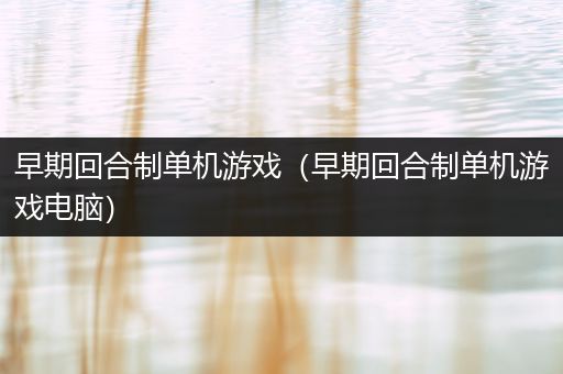 早期回合制单机游戏（早期回合制单机游戏电脑）