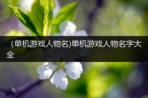 （单机游戏人物名)单机游戏人物名字大全