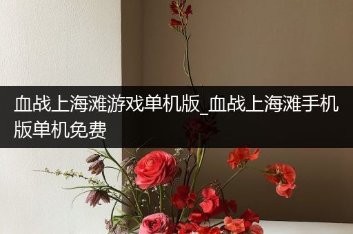 血战上海滩游戏单机版_血战上海滩手机版单机免费