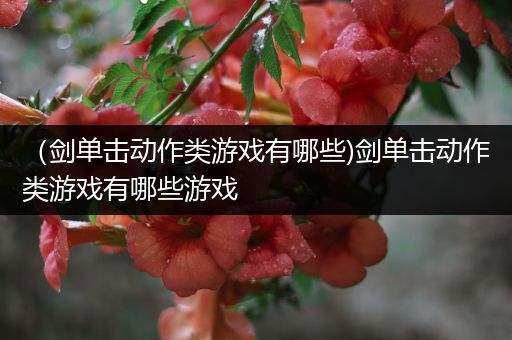 （剑单击动作类游戏有哪些)剑单击动作类游戏有哪些游戏