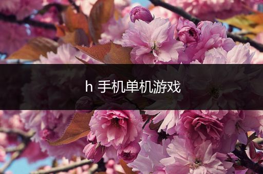 h 手机单机游戏