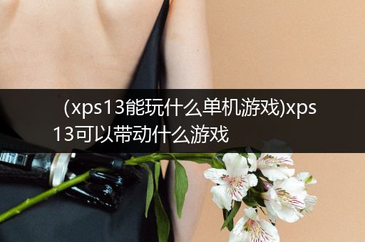 （xps13能玩什么单机游戏)xps13可以带动什么游戏