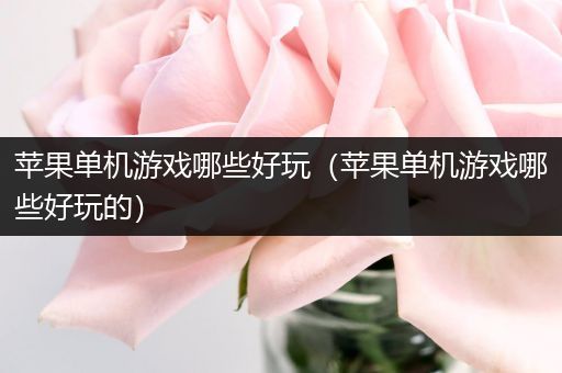 苹果单机游戏哪些好玩（苹果单机游戏哪些好玩的）