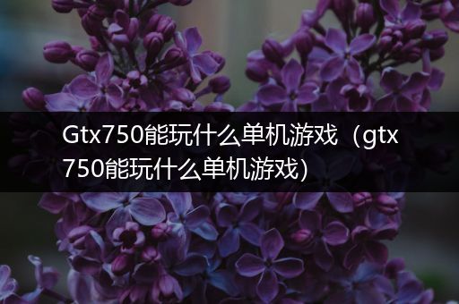 Gtx750能玩什么单机游戏（gtx750能玩什么单机游戏）