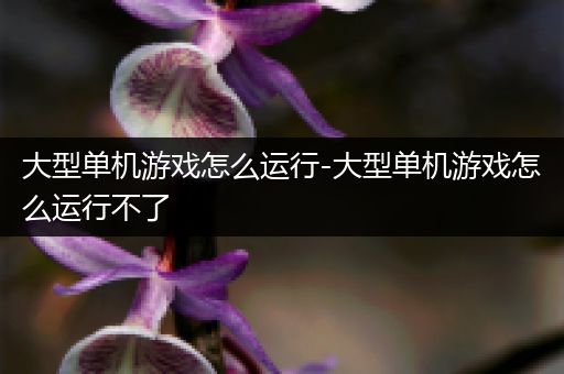 大型单机游戏怎么运行-大型单机游戏怎么运行不了