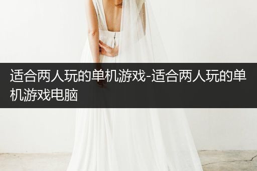 适合两人玩的单机游戏-适合两人玩的单机游戏电脑