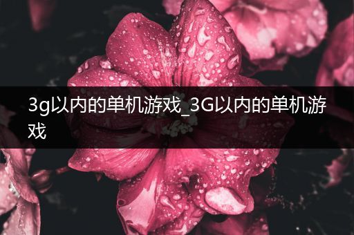 3g以内的单机游戏_3G以内的单机游戏