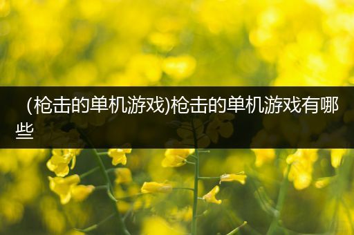（枪击的单机游戏)枪击的单机游戏有哪些