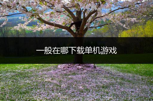 一般在哪下载单机游戏