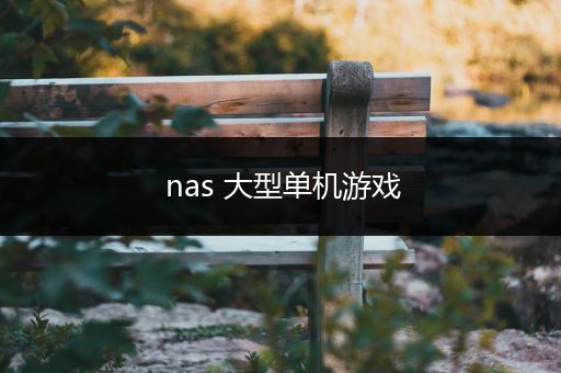 nas 大型单机游戏