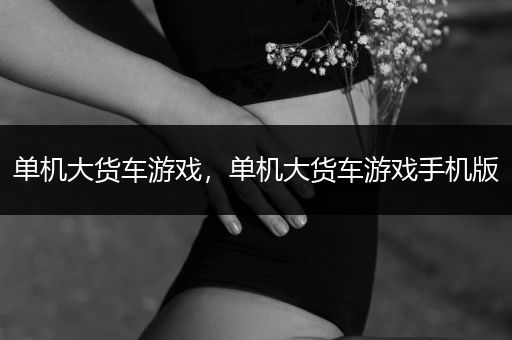 单机大货车游戏，单机大货车游戏手机版