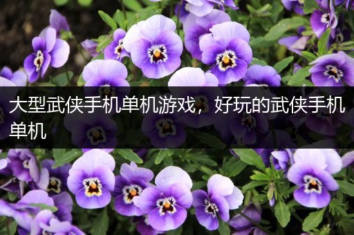 大型武侠手机单机游戏，好玩的武侠手机单机