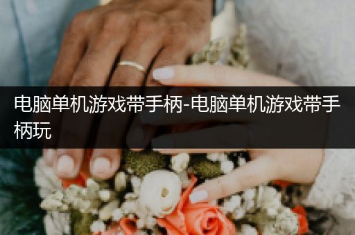 电脑单机游戏带手柄-电脑单机游戏带手柄玩