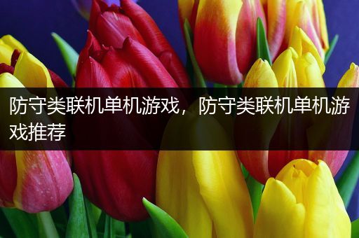 防守类联机单机游戏，防守类联机单机游戏推荐