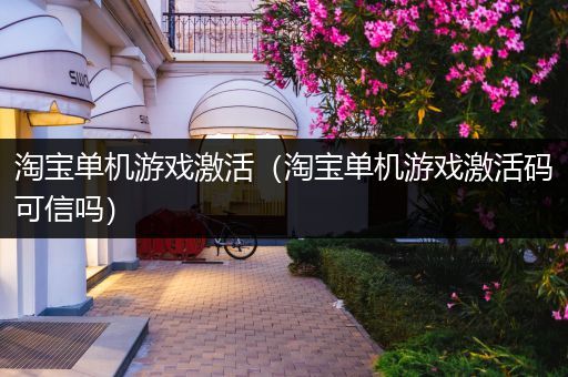 淘宝单机游戏激活（淘宝单机游戏激活码可信吗）