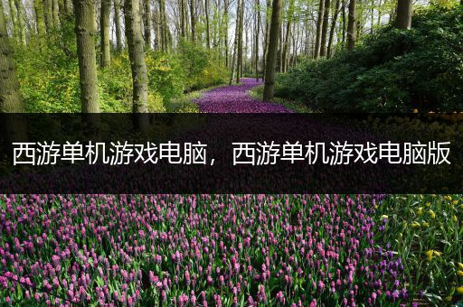 西游单机游戏电脑，西游单机游戏电脑版