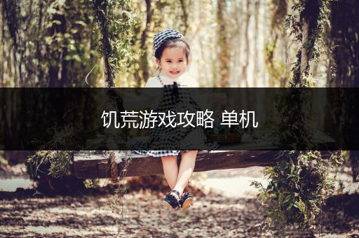 饥荒游戏攻略 单机