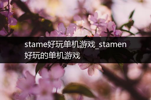 stame好玩单机游戏_stamen好玩的单机游戏