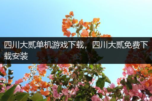 四川大贰单机游戏下载，四川大贰免费下载安装