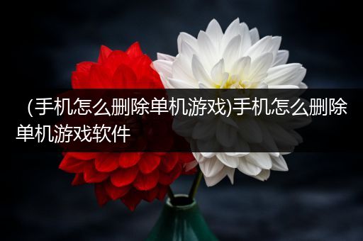 （手机怎么删除单机游戏)手机怎么删除单机游戏软件