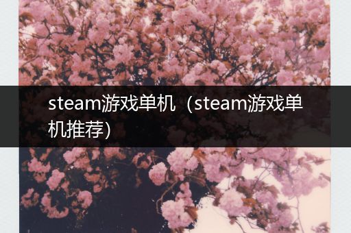 steam游戏单机（steam游戏单机推荐）