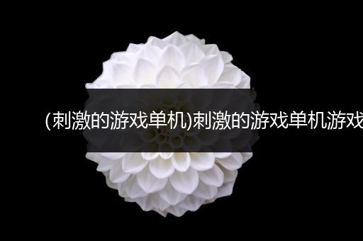（刺激的游戏单机)刺激的游戏单机游戏