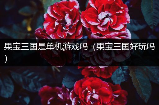 果宝三国是单机游戏吗（果宝三国好玩吗）