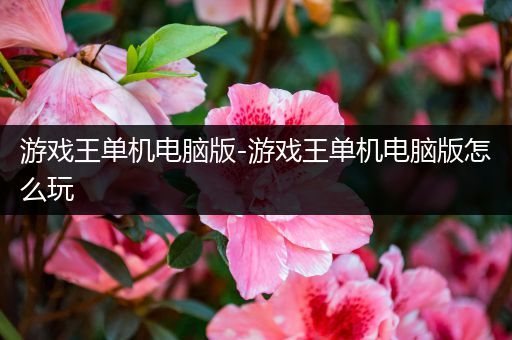游戏王单机电脑版-游戏王单机电脑版怎么玩
