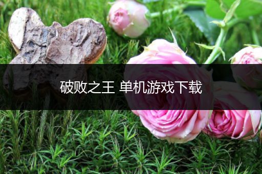 破败之王 单机游戏下载