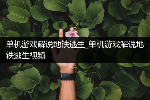 单机游戏解说地铁逃生_单机游戏解说地铁逃生视频