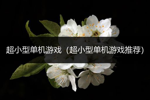 超小型单机游戏（超小型单机游戏推荐）