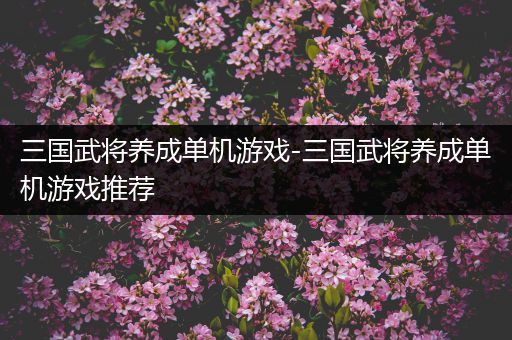 三国武将养成单机游戏-三国武将养成单机游戏推荐