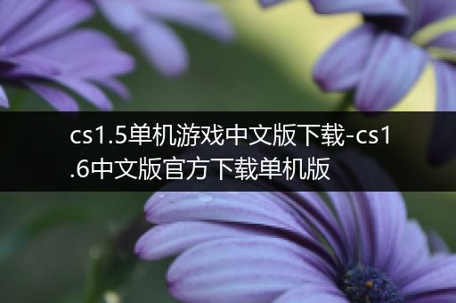 cs1.5单机游戏中文版下载-cs1.6中文版官方下载单机版