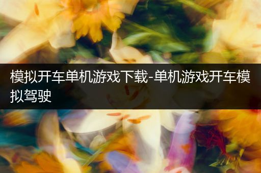 模拟开车单机游戏下载-单机游戏开车模拟驾驶