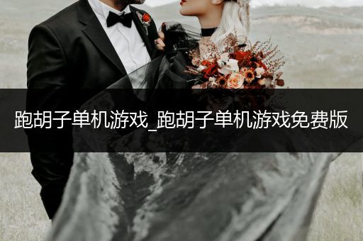 跑胡子单机游戏_跑胡子单机游戏免费版