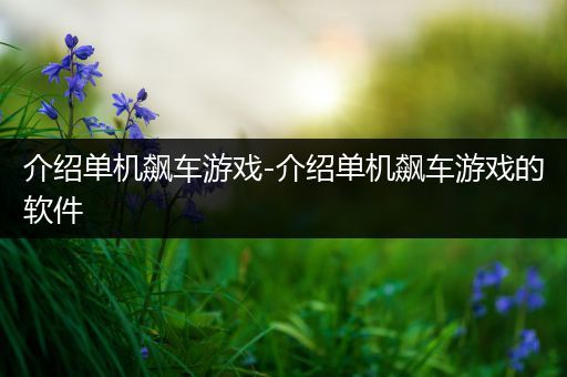 介绍单机飙车游戏-介绍单机飙车游戏的软件