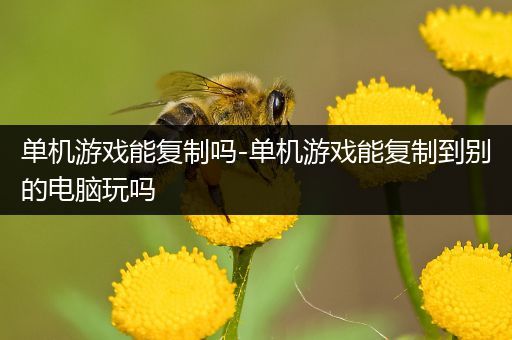 单机游戏能复制吗-单机游戏能复制到别的电脑玩吗