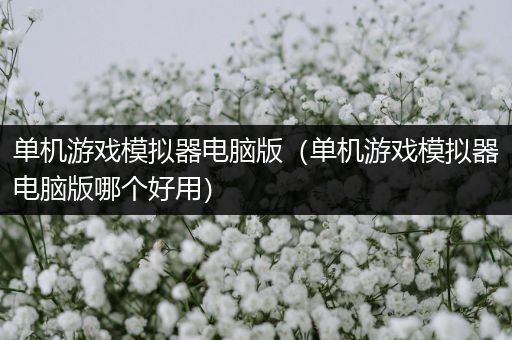 单机游戏模拟器电脑版（单机游戏模拟器电脑版哪个好用）