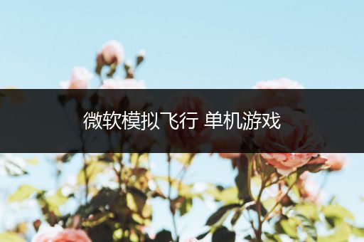 微软模拟飞行 单机游戏