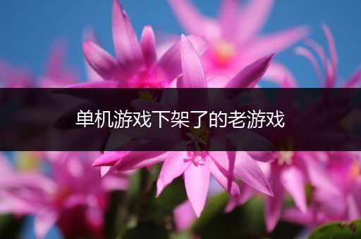 单机游戏下架了的老游戏