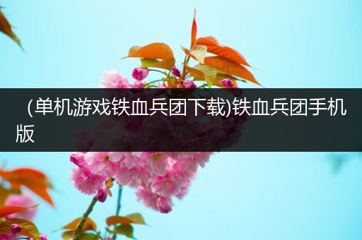 （单机游戏铁血兵团下载)铁血兵团手机版