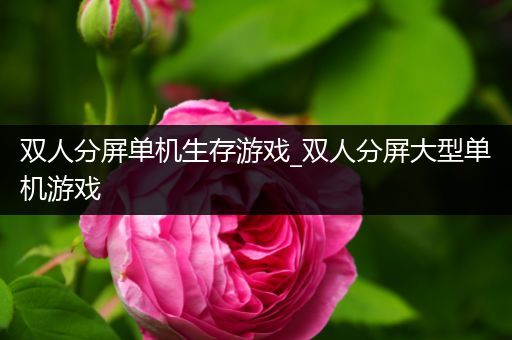 双人分屏单机生存游戏_双人分屏大型单机游戏