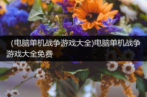 （电脑单机战争游戏大全)电脑单机战争游戏大全免费