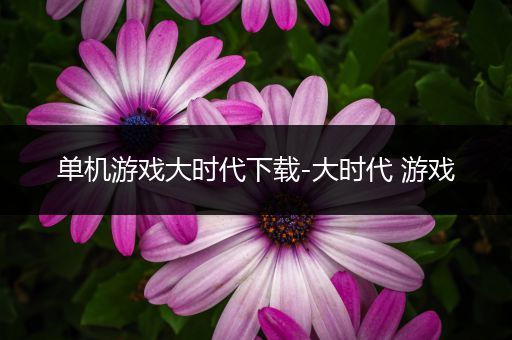 单机游戏大时代下载-大时代 游戏