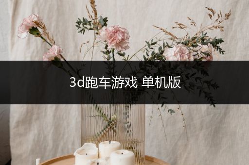 3d跑车游戏 单机版