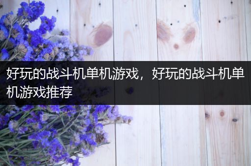 好玩的战斗机单机游戏，好玩的战斗机单机游戏推荐